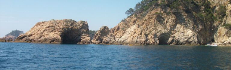 Trabajos de síntesis del medio marino