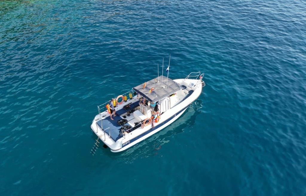 barcos bluesail en la costa brava: Blanes, Lloret, Tosssa